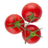 tomat_1.png tomat_1.png